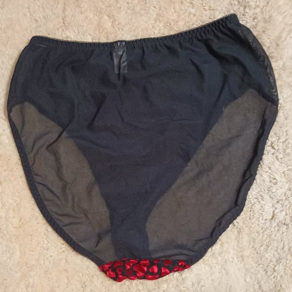 NWOT ~ Lane Bryant's Intimates Sheer Panties w/ Bright Red Hearts (Size: 26/28) - Picture 2 of 5